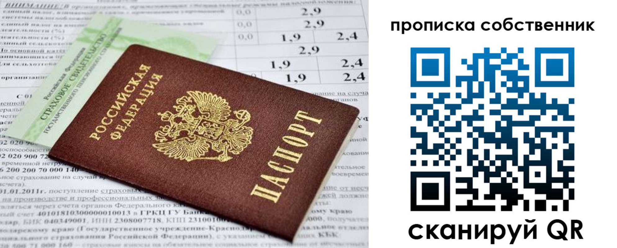 прописка 2025 в Апатитах